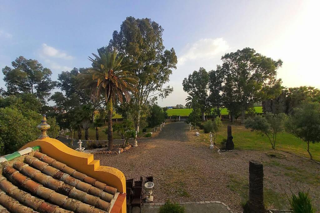 Cortijo San Jose Villa Seville Exterior photo